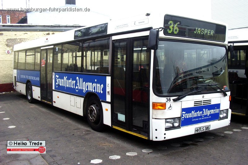 04) 36-20,Jasper,HT.JPG